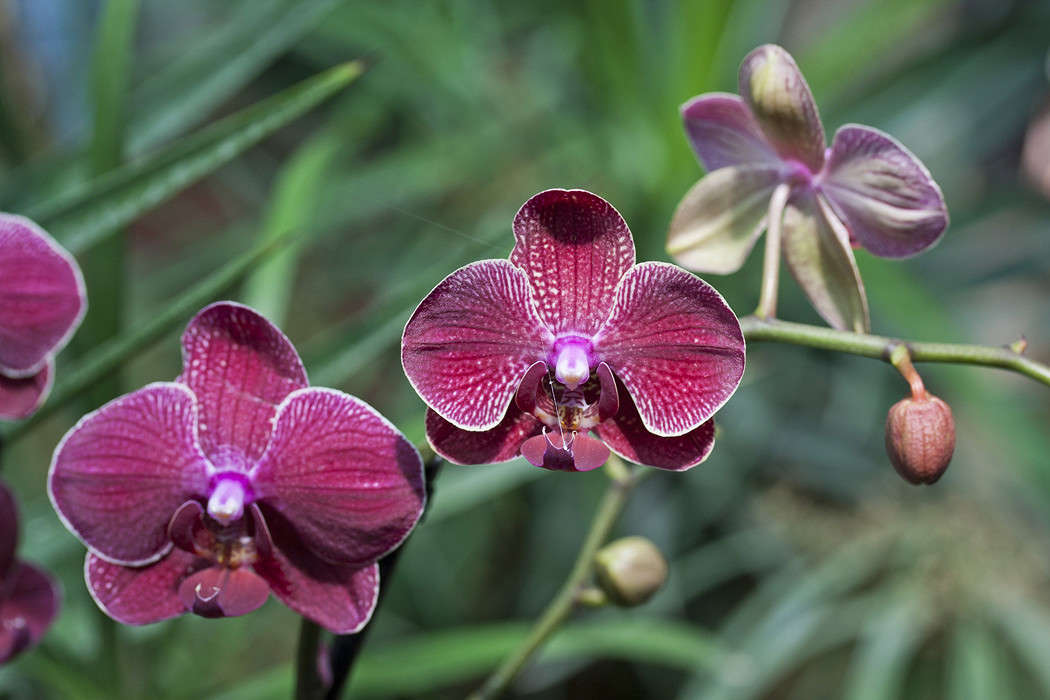 ������� ����� �������  �� PhotoGeek.ru #������ ��� ������� #����� ��������������