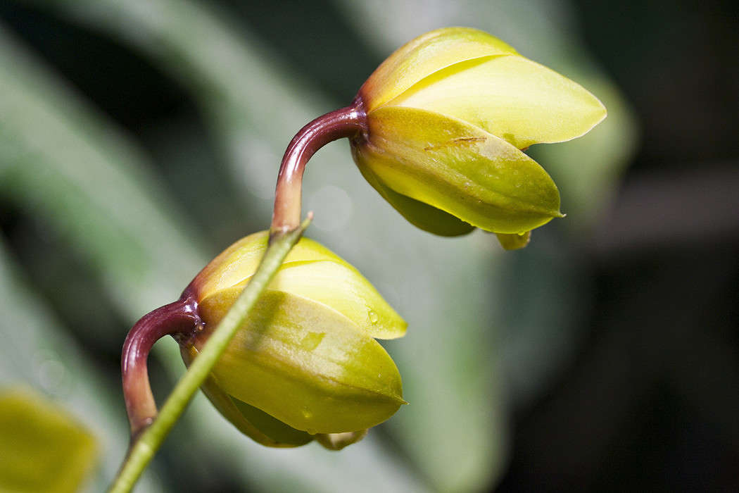 ������� ����� �������  �� PhotoGeek.ru #������ ��� ������� #����� ��������������