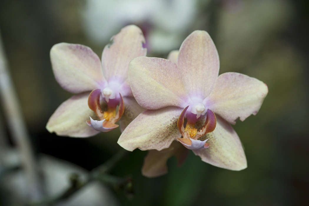 ������� ����� �������  �� PhotoGeek.ru #������ ��� ������� #����� ��������������