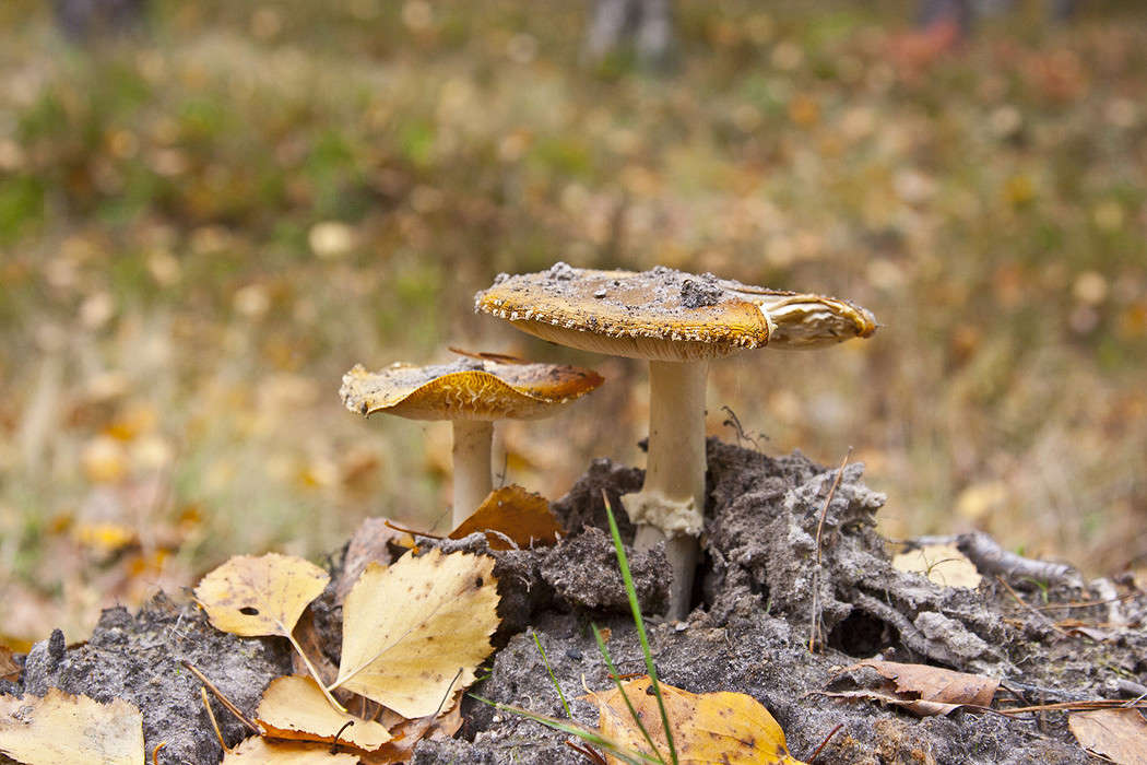 ����� ����� �������  �� PhotoGeek.ru #������ ��� ������� #����� ��������������