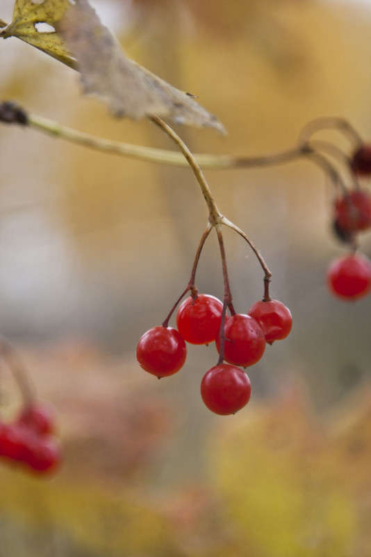 ������ ������� ����� �������  �� PhotoGeek.ru #������ ��� ������� #����� ��������������