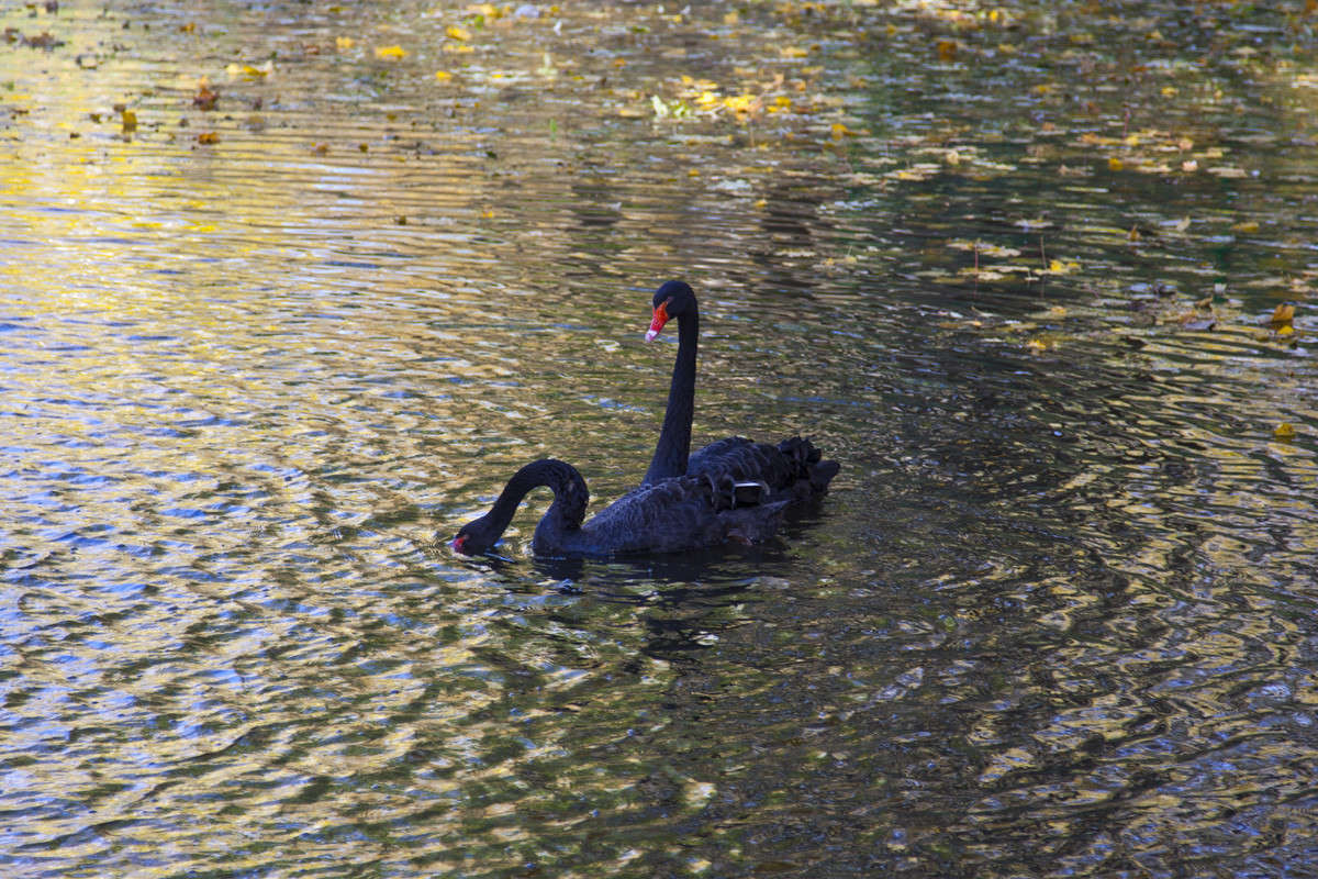 ������ ����� �������  �� PhotoGeek.ru #�������� ��� #������ ��� �������