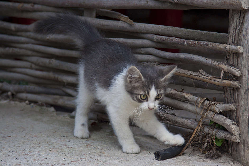 ������ ����� �������  �� PhotoGeek.ru #�������� ���