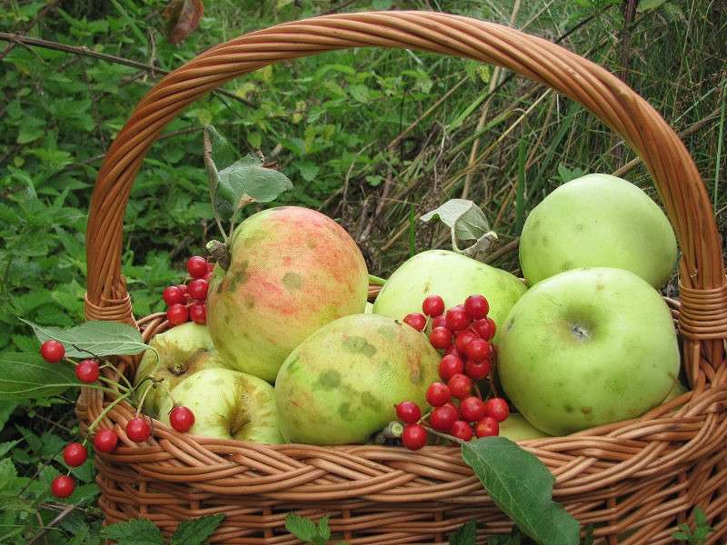 ������� ����� �������  �� PhotoGeek.ru #�������� ����������