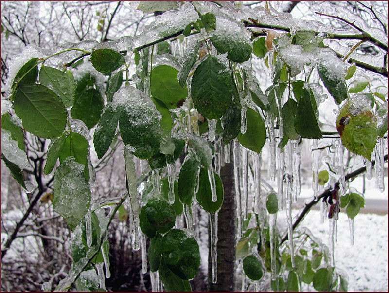 ����������� �������� ����� �������  �� PhotoGeek.ru #������ ��� ������� #����� ��������������