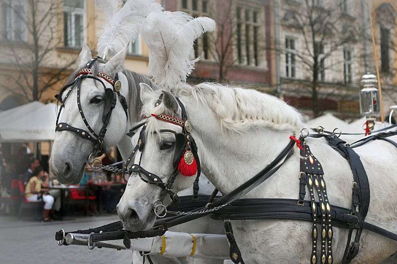 ��� �� ������ ����� �������  �� PhotoGeek.ru #�������� ���