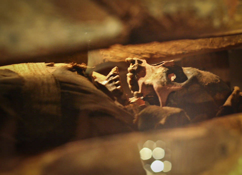 ����� ����� �������  �� PhotoGeek.ru #��������