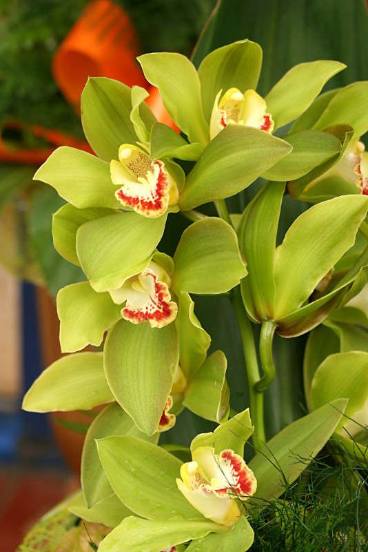 ������� ����� �������  �� PhotoGeek.ru #������ ��� ������� #����� ��������������