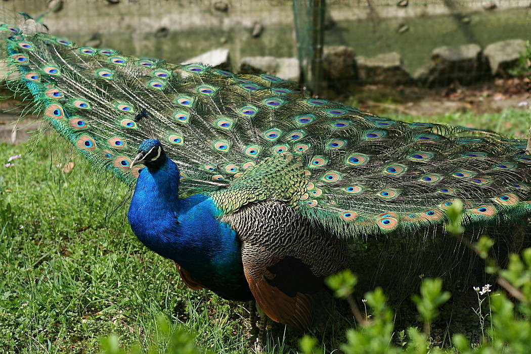 ������ ����� �������  �� PhotoGeek.ru #�������� ��� #������ ��� �������