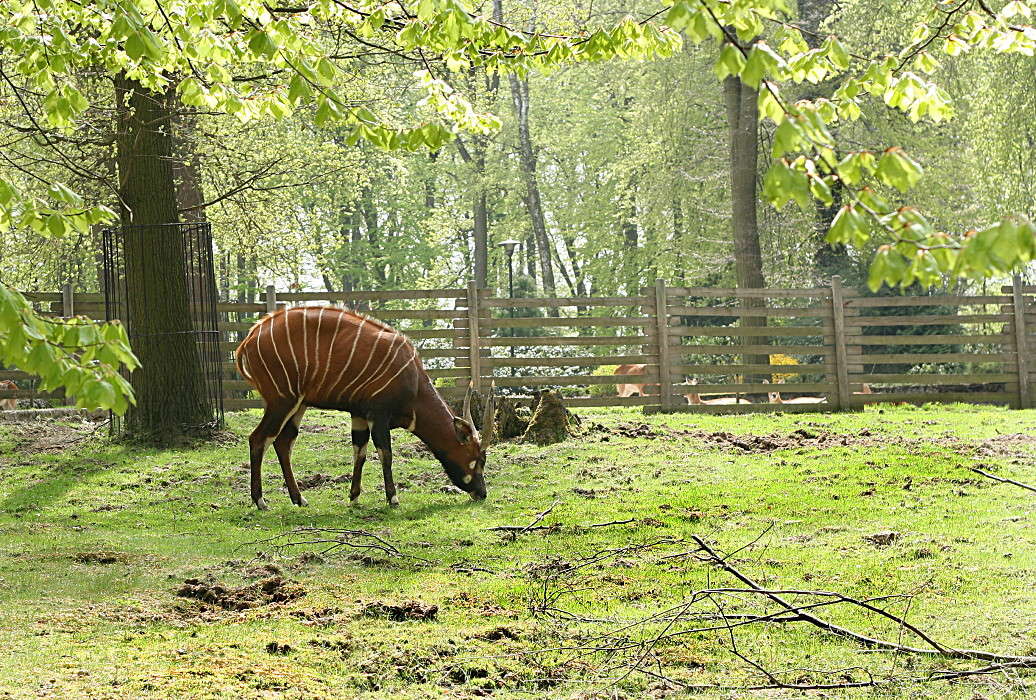 ������� ����� �������  �� PhotoGeek.ru #�������� ���