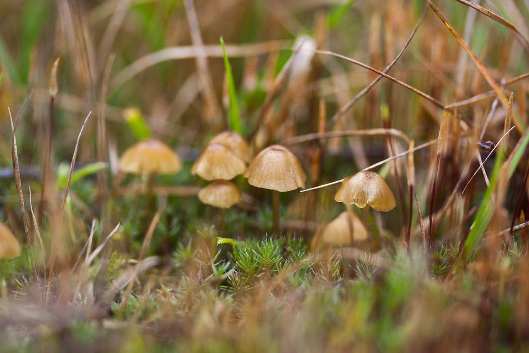 �������� ����� �������  �� PhotoGeek.ru #�����