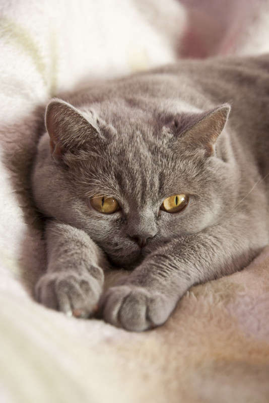 �������� ����� �������  �� PhotoGeek.ru #�������� ���