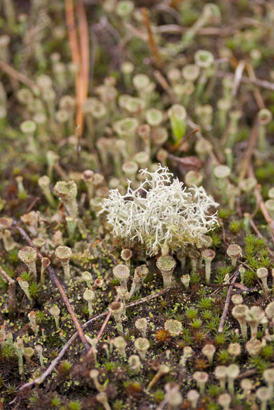 �������� ����� �������  �� PhotoGeek.ru #�����