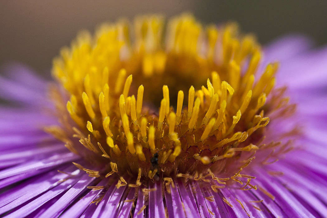 ����������� ����� �������  �� PhotoGeek.ru #������ ��� ������� #����� ��������������