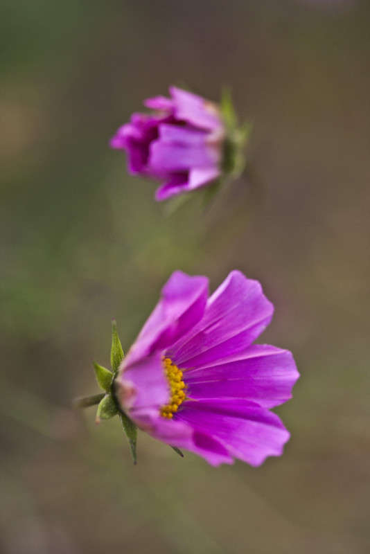 ������� ����� �������  �� PhotoGeek.ru #������ ��� ������� #����� ��������������