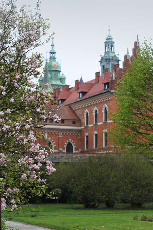 ������ ����� �������  �� PhotoGeek.ru #����� #����������� #������ ����