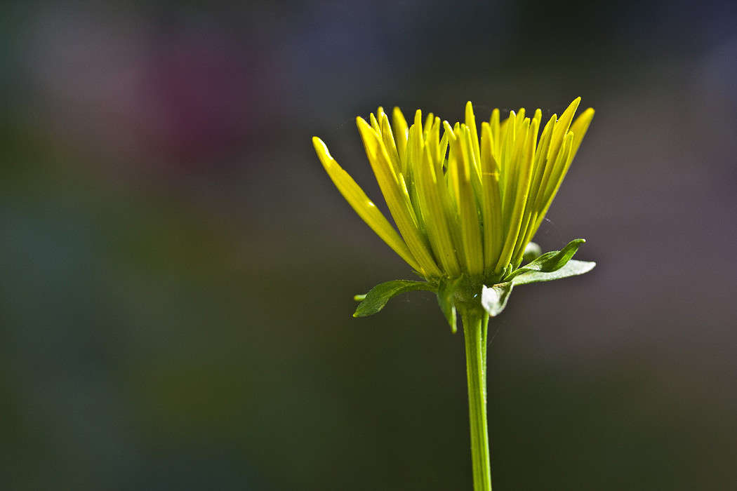 ������ ����� �������  �� PhotoGeek.ru #������ ��� ������� #����� ��������������