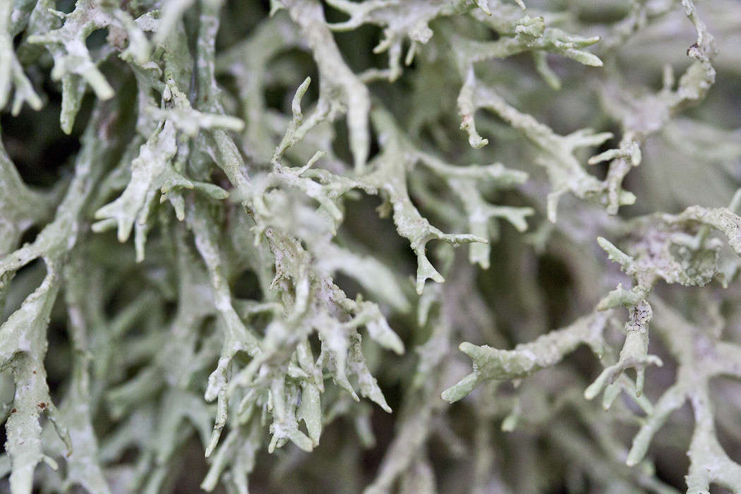 ��� ����� �������  �� PhotoGeek.ru #������ ��� ������� #����� ��������������