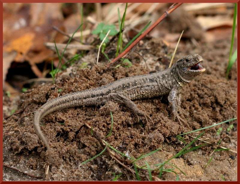 ������� ����� �������  �� PhotoGeek.ru #�������� ��� #������ ��� �������