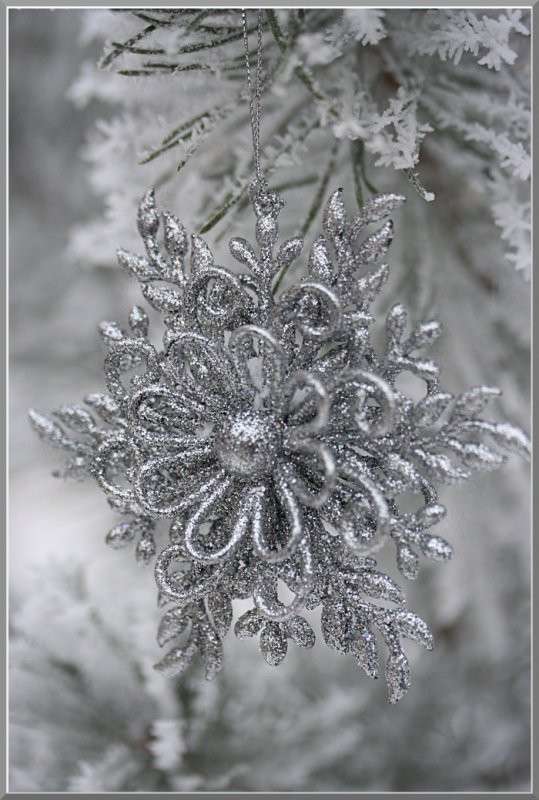 ����� ������������ ����... ����� �������  �� PhotoGeek.ru #�������� ����������