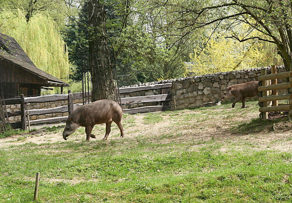 � �������� ����� �������  �� PhotoGeek.ru #�������� ���