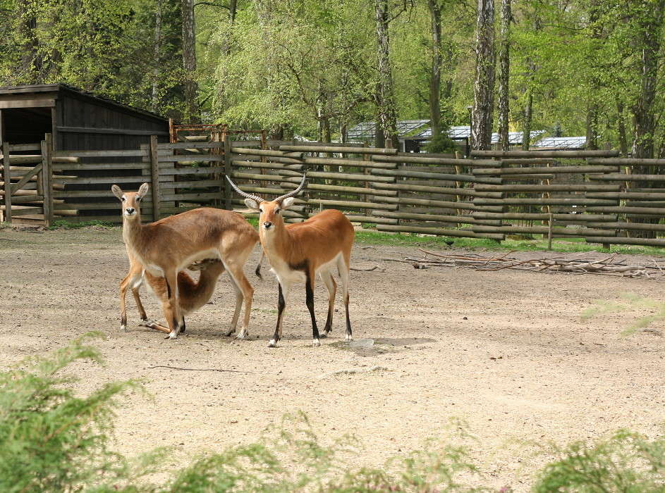 ������. �������. ����� �������  �� PhotoGeek.ru #�������� ���