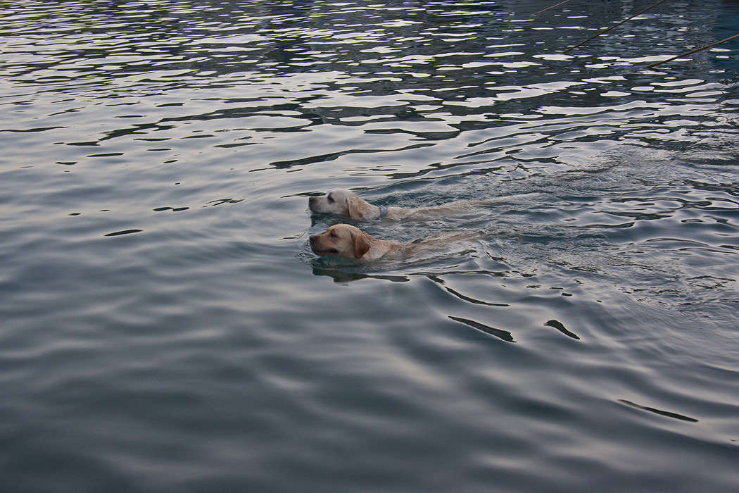 ���������� �������� ����� �������  �� PhotoGeek.ru #�������� ���