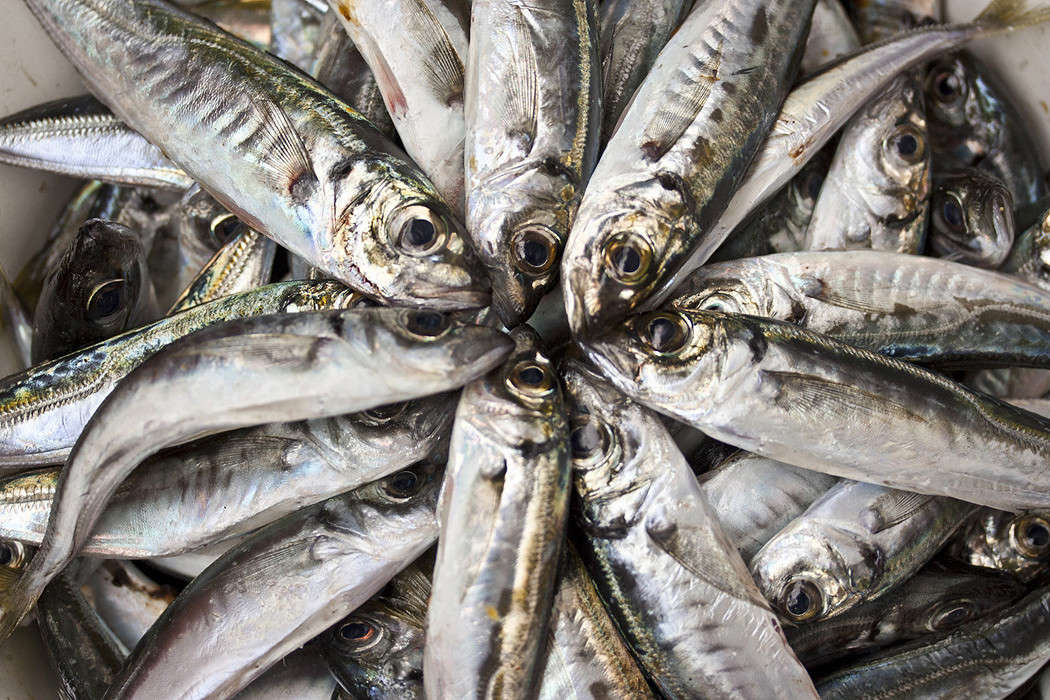 �������� ����� �������  �� PhotoGeek.ru #�������� ����������