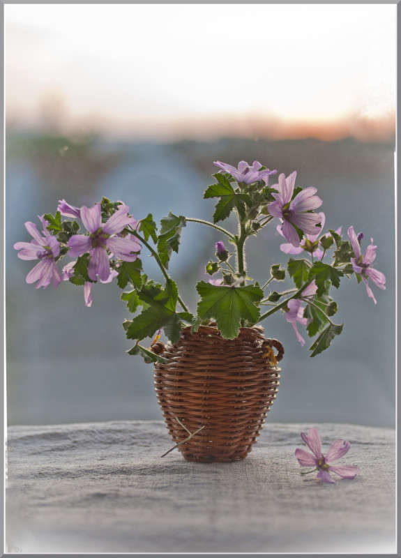 ... ����� �������  �� PhotoGeek.ru #���������