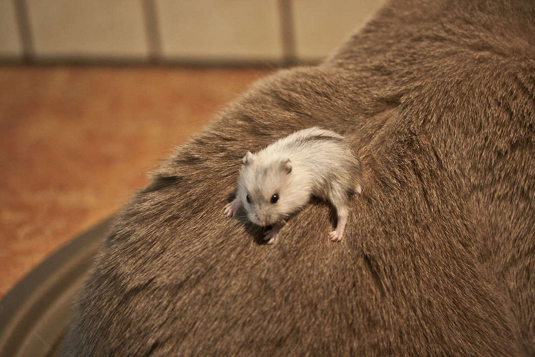 ������� ���� �� ����! ����� �������  �� PhotoGeek.ru #�������� ���