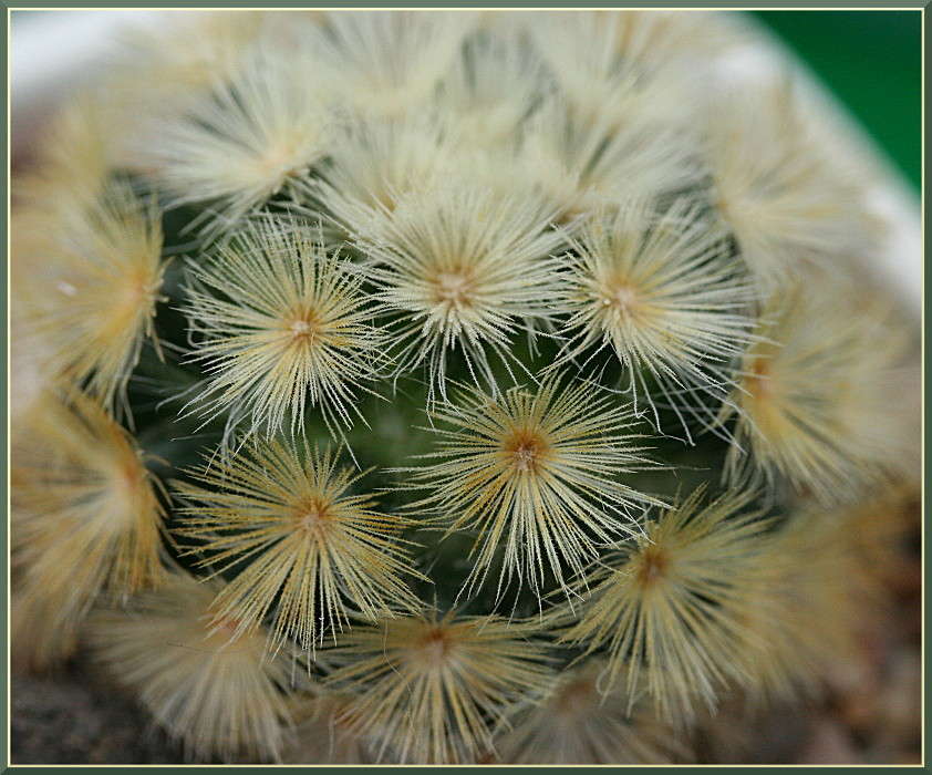 ������.������ ������. ����� �������  �� PhotoGeek.ru #����� #����� ��������������