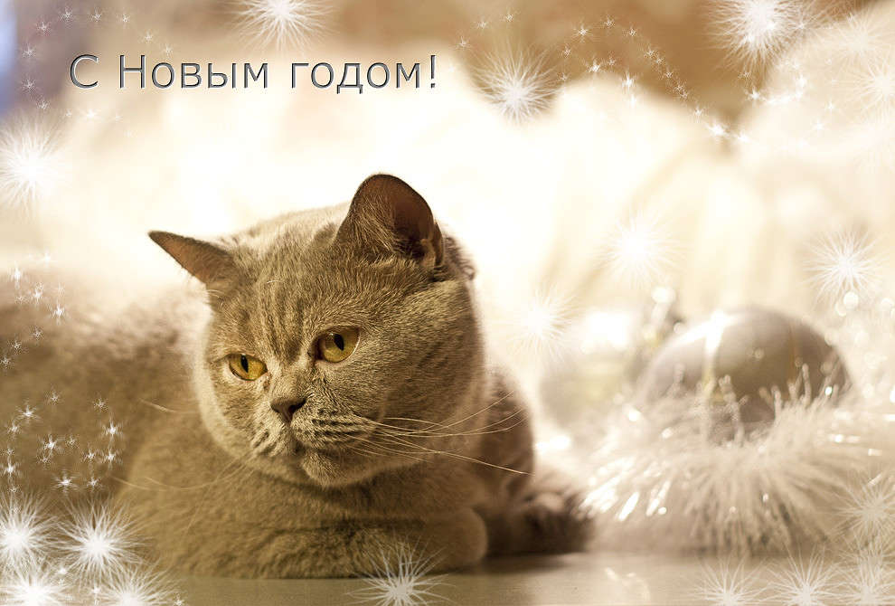 � ������ � ����,��� �� ����� ���� ����� ��������� ��� ����� �����. ����� �������  �� PhotoGeek.ru #�������� ���