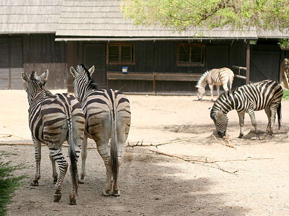 ���������� ����� �������  �� PhotoGeek.ru #�������� ���