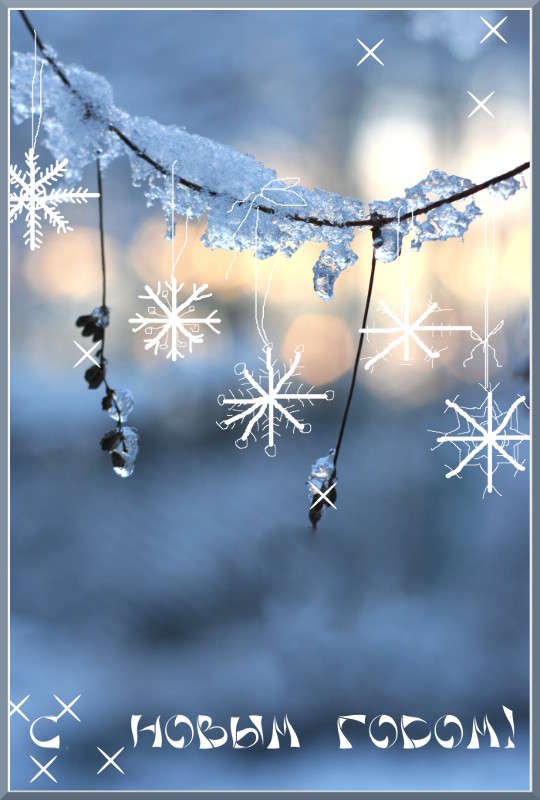 ���������� ����� �������  �� PhotoGeek.ru #�������� ����������