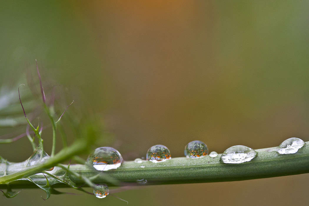 �������� ����� �������  �� PhotoGeek.ru #������ ��� �������