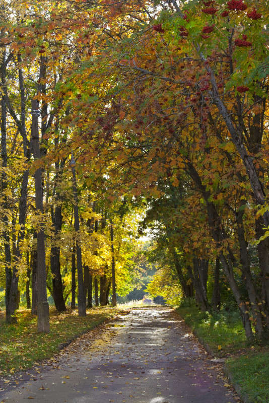 ����� ����� �������  �� PhotoGeek.ru #������ ��� �������