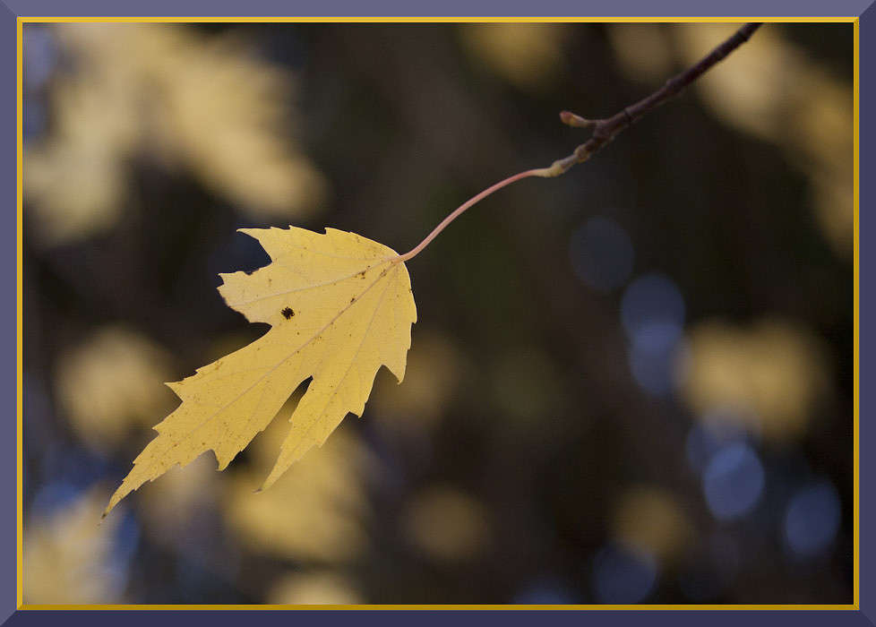 ����� ����� �������  �� PhotoGeek.ru #������ ��� �������