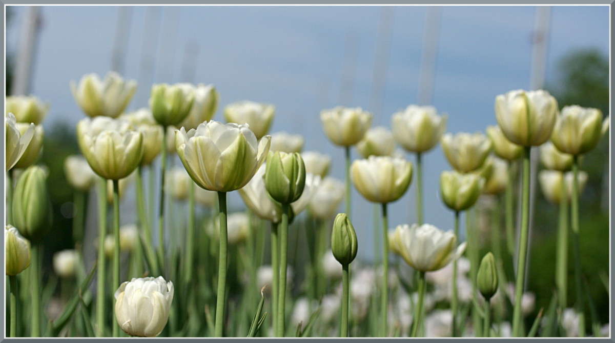 ����� ����� �������  �� PhotoGeek.ru #������ ��� ������� #����� ��������������