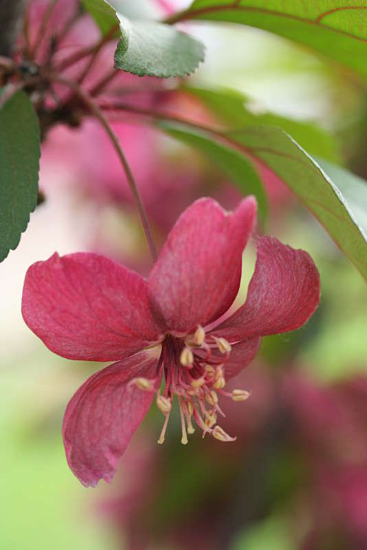 ����� ����� �������  �� PhotoGeek.ru #������ ��� ������� #����� ��������������