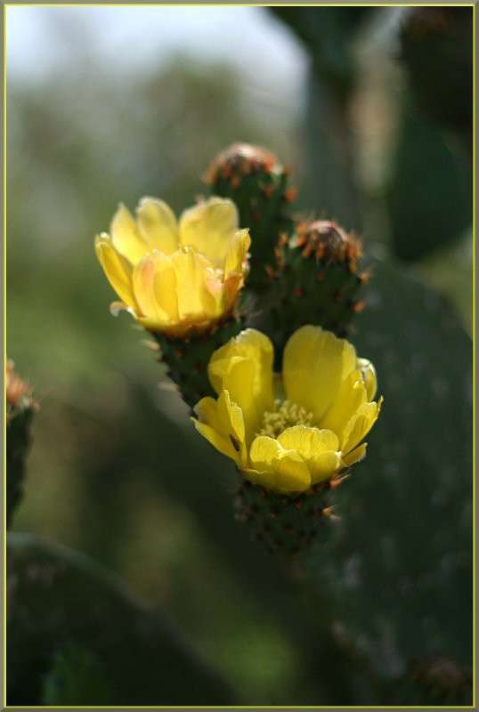 ������ ����� �������  �� PhotoGeek.ru #������ ��� ������� #����� ��������������