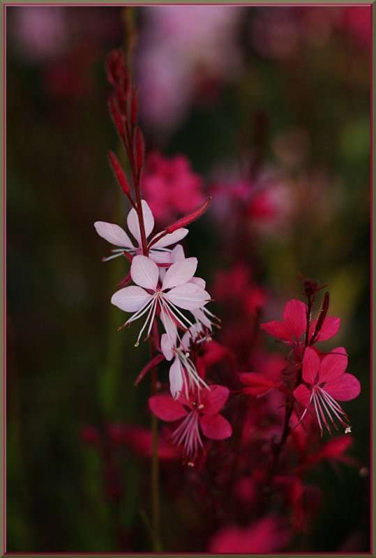 ... ����� �������  �� PhotoGeek.ru #������ ��� ������� #����� ��������������