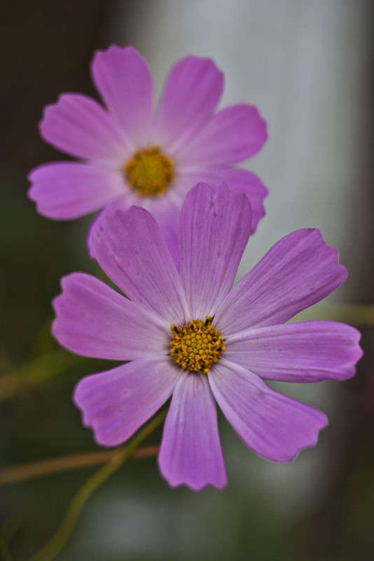 ������ ����� �������  �� PhotoGeek.ru #������ ��� ������� #����� ��������������