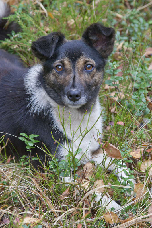 ������ ����� �������  �� PhotoGeek.ru #�������� ���