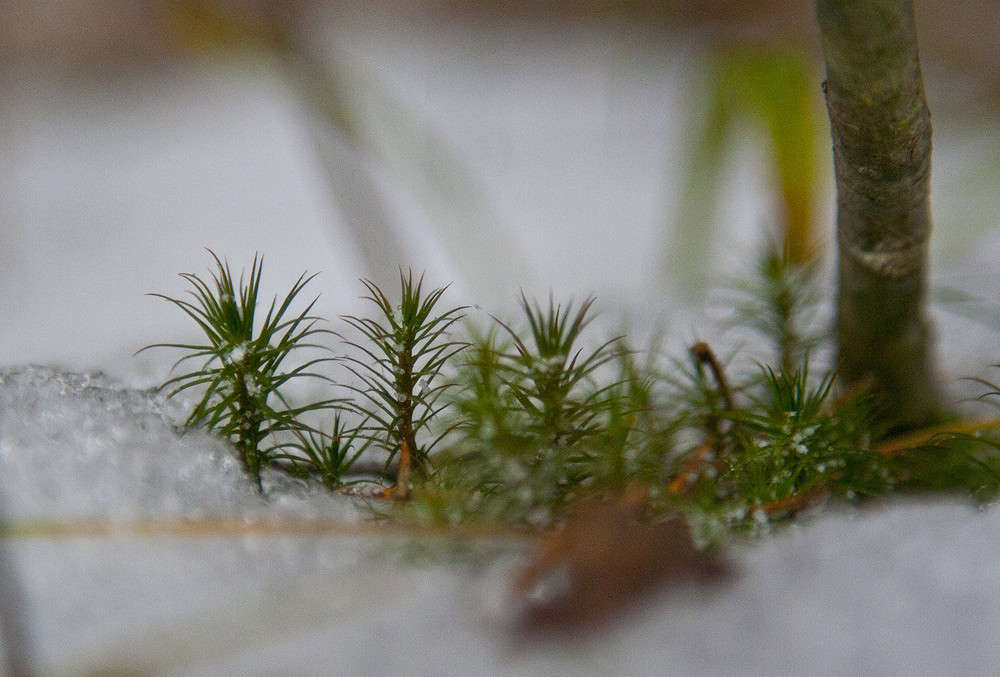 � ������ ���� ����� �������  �� PhotoGeek.ru #������ ��� �������