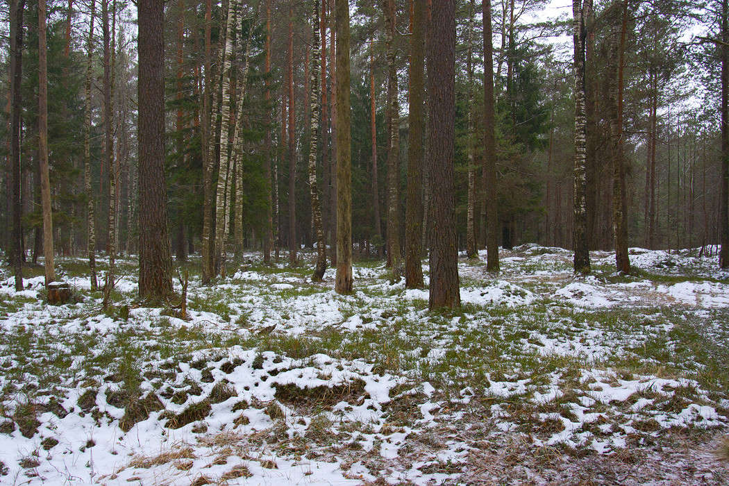 ���� ����� �����... ����� �������  �� PhotoGeek.ru #������ ��� �������