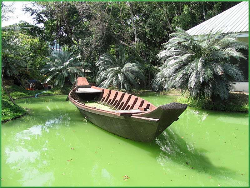 �������� ���� ����� �������  �� PhotoGeek.ru #������ ��� �������