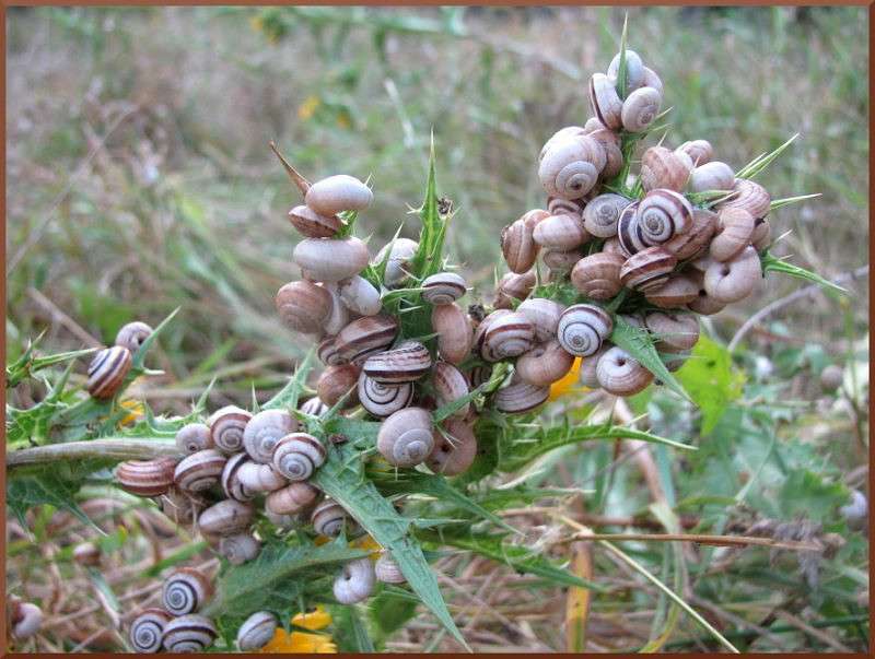 ������ ����� �������  �� PhotoGeek.ru #�������� ��� #������ ��� �������