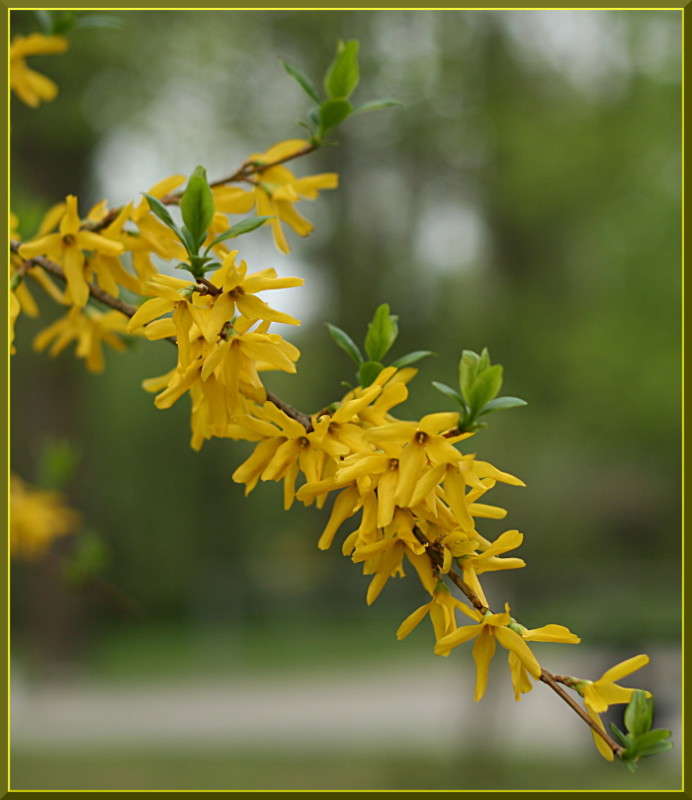 ... ����� �������  �� PhotoGeek.ru #������ ��� ������� #����� ��������������