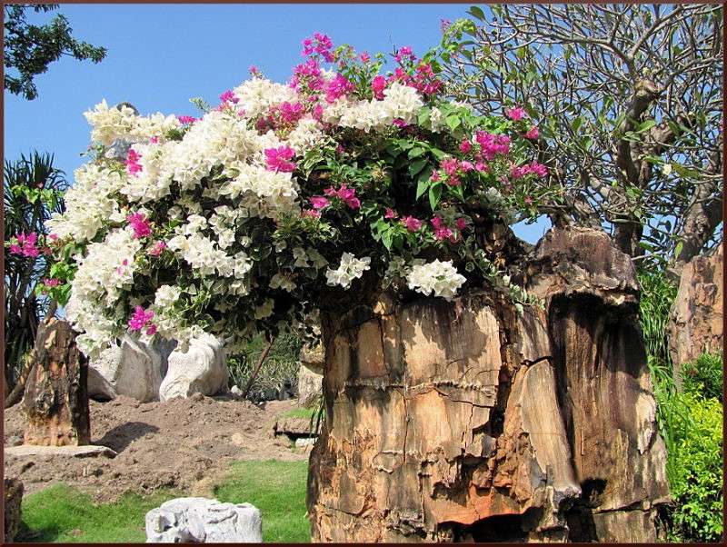 � ���� ����... ����� �������  �� PhotoGeek.ru #������ ��� �������