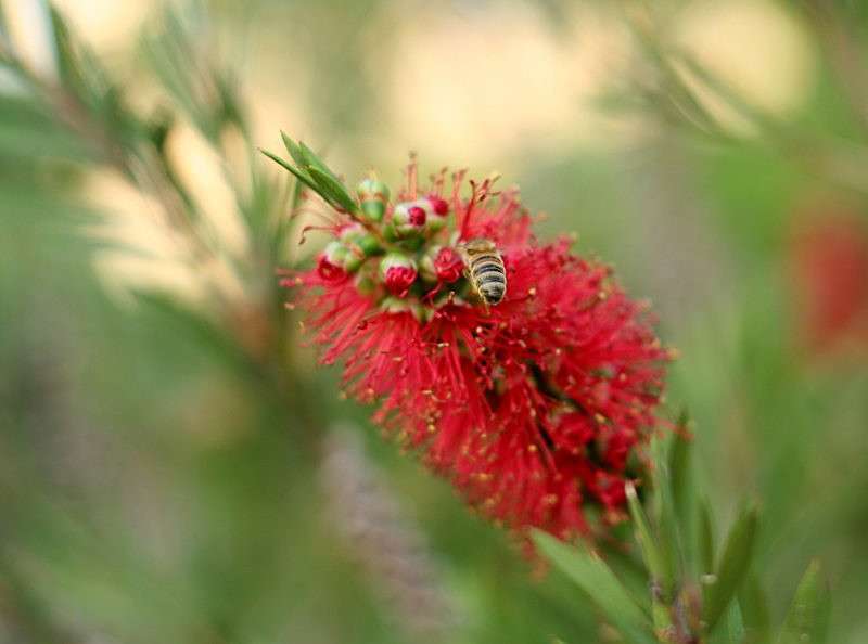 ����� ����� �������  �� PhotoGeek.ru #������ ��� �������